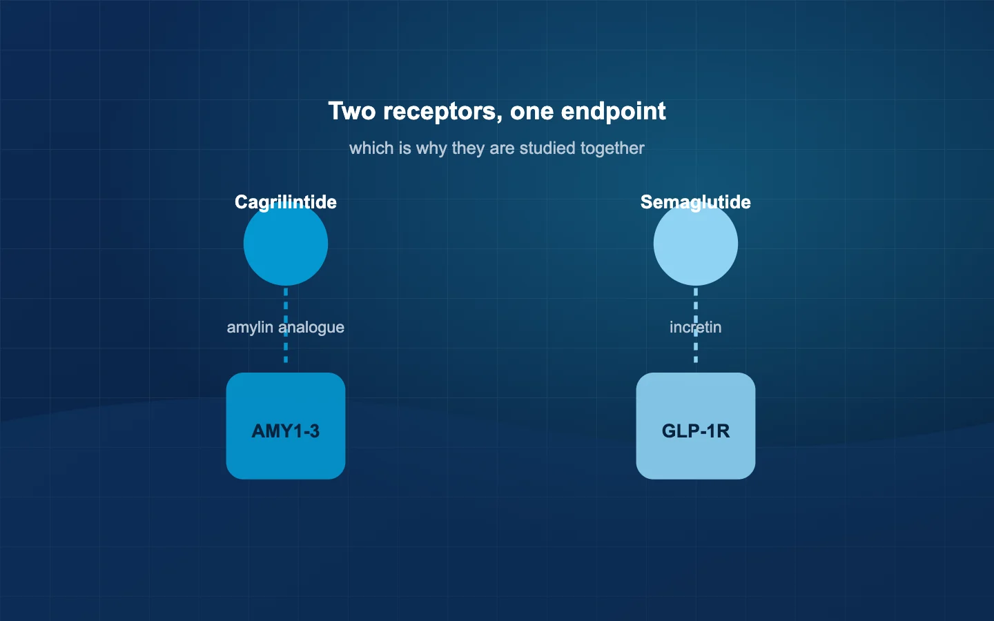 Amylin and GLP-1 receptor pathways drawn as two separate routes converging on energy balance