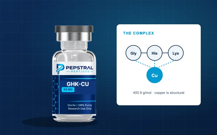 The GHK tripeptide shown coordinating a copper ion, beside a remodelling assay